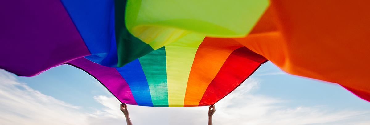 LGBT+ flag
