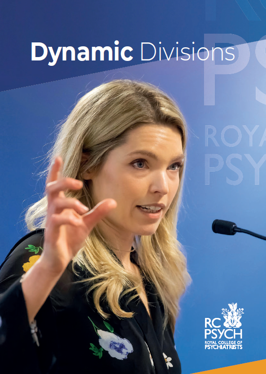 Dynamic Divisions booklet