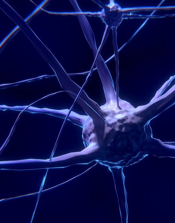 Psychopathology of OCD and anxiety webinar
